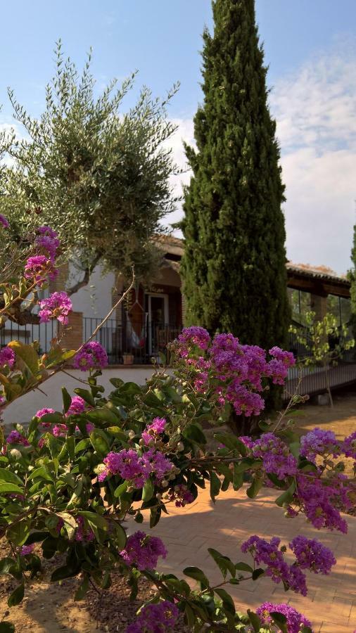 Casa Rural La Amistad Villa Burguillos de Toledo Exterior photo