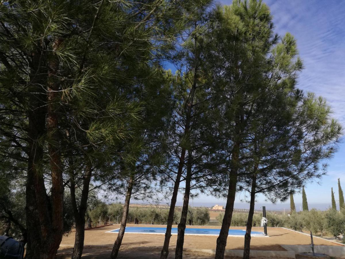 Casa Rural La Amistad Villa Burguillos de Toledo Exterior photo